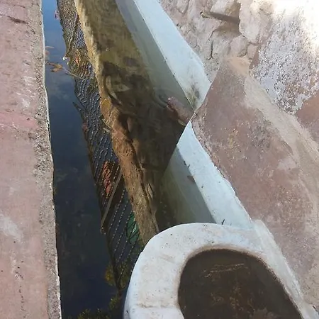 Eras Altas Selas